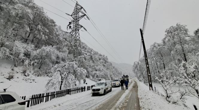 grupul electrica a inregistrat in 2025 un profit net record