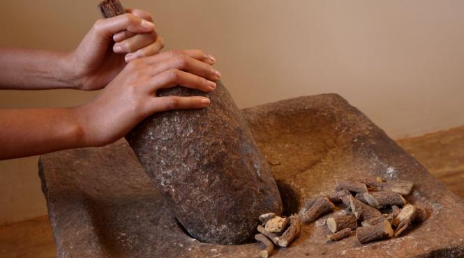 lemn dulce secret grecia antica radacina proprietati uimitoare asupra sanatatii