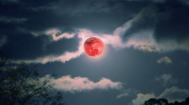 eclipsa luna sangerie 3 martie 2026 impact zodii