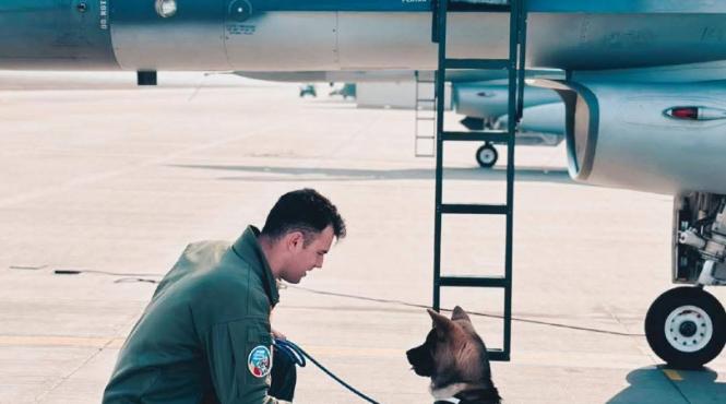 octavian un tanar pilot militar a murit salvand un caine in incinta bazei 86 aeriana