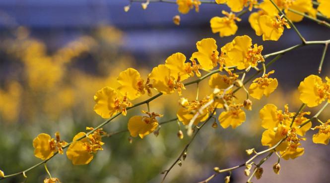 echinoctiu primavara 2026 zodii an astrologic