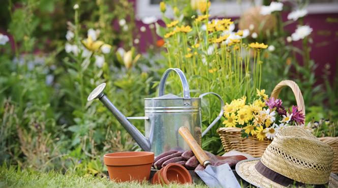 ghid gradinarit ce lucrari faci luna martie vara bogata