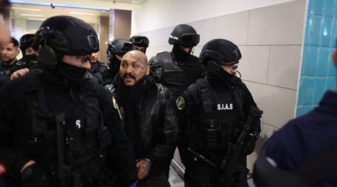 dani mocanu manelist catuse