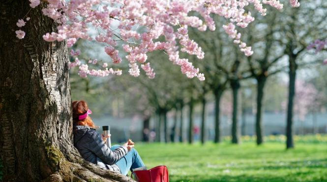 horoscop sezonul berbecului 2026 predictii zodii