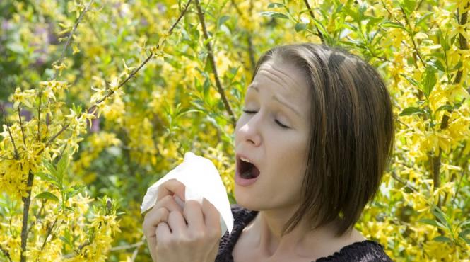 alergii primavara 2026 simptome tratament polen romania