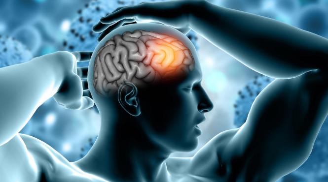 secret constiinta umana lumina secreta creier ne vorbeste biofotoni