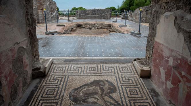 traditia romana vi revitalizata situl arheologic pompei struguri cultivati printre ruine