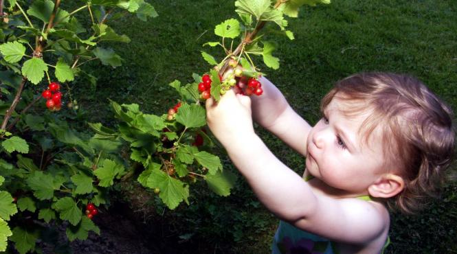 zodii noroc abundenta 22 martie 2026 soare neptun berbec