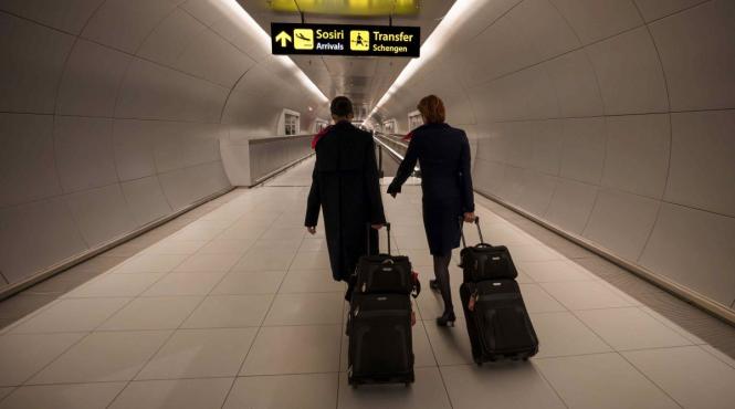 afacere cum se imping milioane de euro cu caruciorul de bagaje