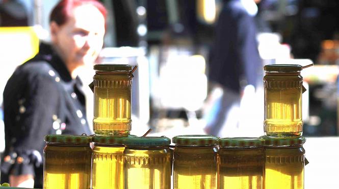 apicultori guvern importuri miere contrafacuta