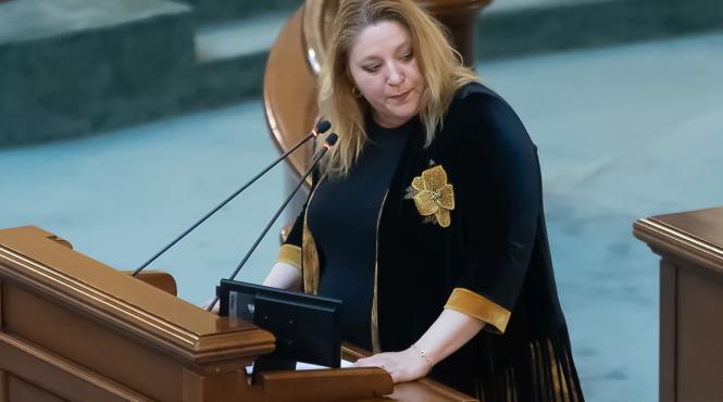 diana sosoaca audiere comportament parlamentul european