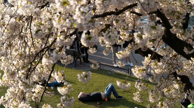 horoscop zodii rabdare succes visuri implinite