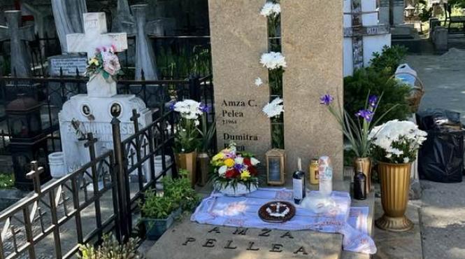 oana pellea credidam proces drepturi amza pellea