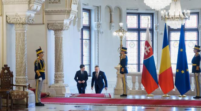 nicusor dan robert fico