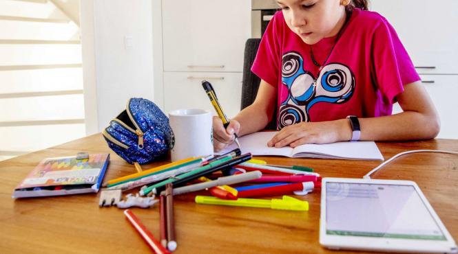 limba romana ce inseamna cuvantul ambiental