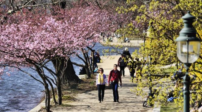 transformari decembrie octombrie autenticitate echilibru