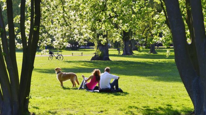 luni nastere personalitate empatie martie mai iulie august septembrie