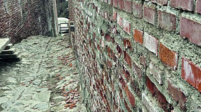 cetatea poenari scandal renovare rasnov curtea domneasca