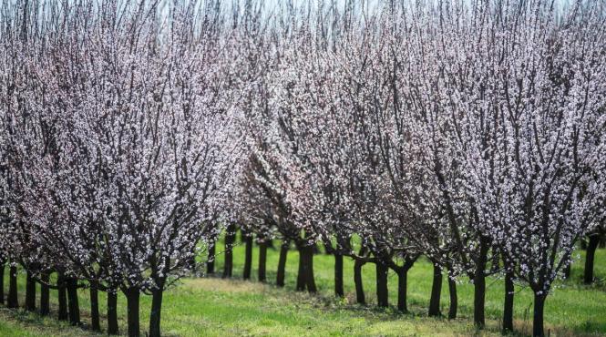 fenomen spectaculos in grecia locul unde taie respiratia