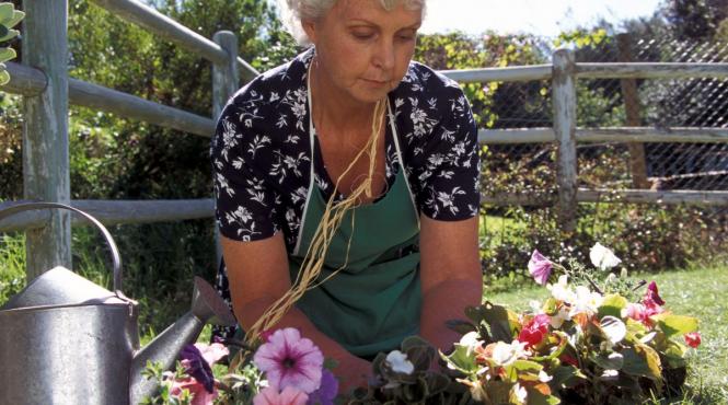 ce flori se planteaza in aprilie gradina balcon ghid