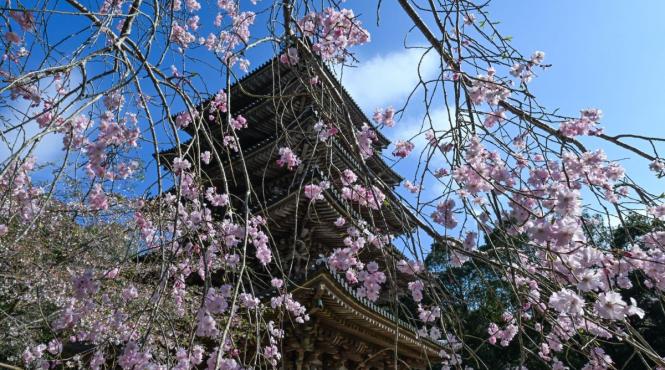 horoscop 5 aprilie 2026 5 zodii norocoase luna sagetator