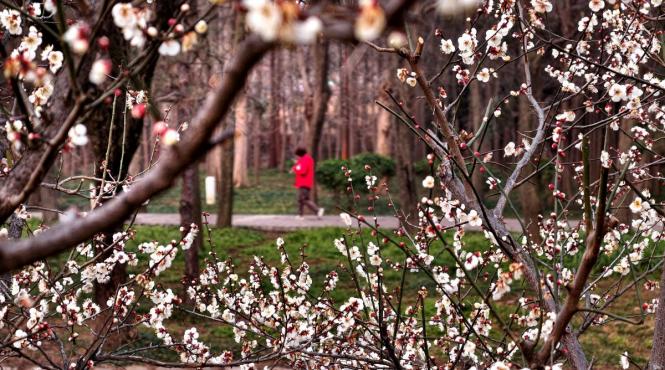 aprilie horoscop data nasterii schimbari destin