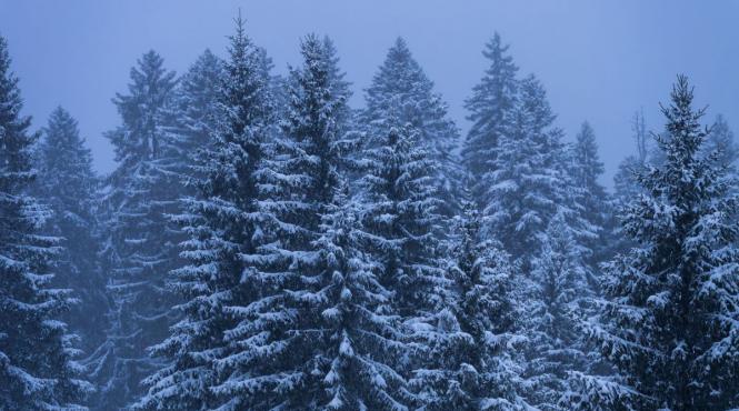 avertizare meteo imediata vreme severa ninsoare 8 aprilie