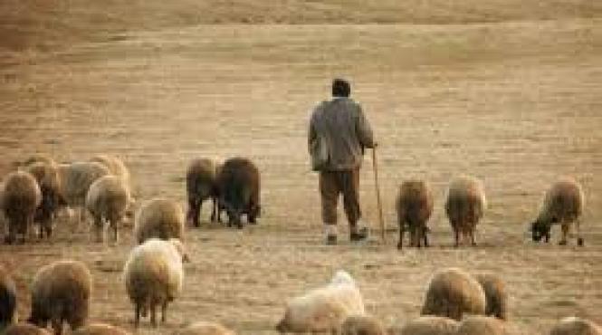 disparitia unei meserii traditionale jobul 2 400 euro nimeni nu vrea