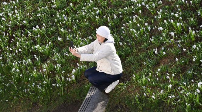 horoscop chinezesc 14 aprilie 2026 6 zodii norocoase succes financiar