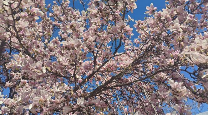 zodii a doua sansa dragoste horoscop 14 aprilie 2026