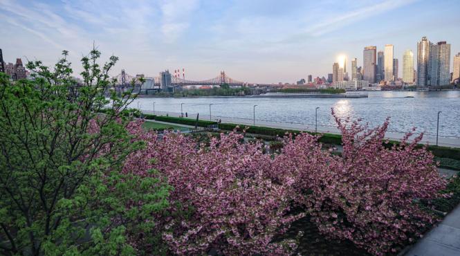 horoscop 19 aprilie 2026 zodii binecuvantate marte saturn