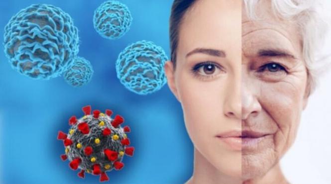 gene determina longevitate stiinta