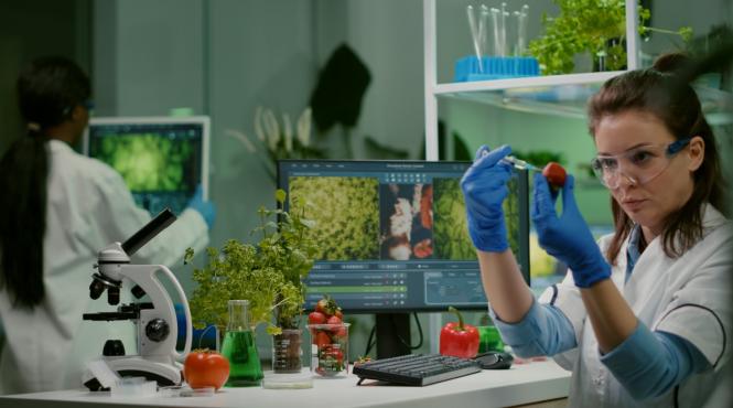 decizie schimba mancare invazie plante modificate genomic