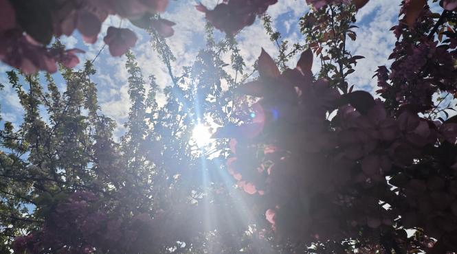 numerele ingerilor luna nasterii semnificatie schimbari viata