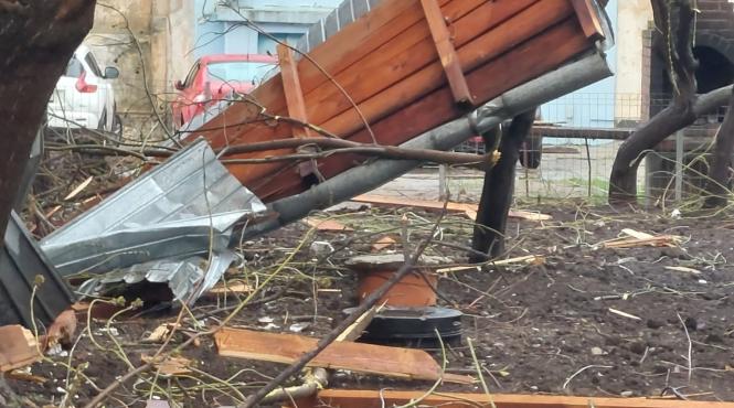 igsu bilant interventii vijelii mort