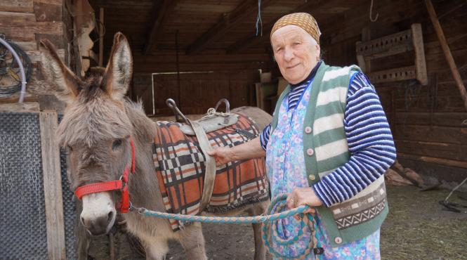 strabunica maria tara colibelor ciobanita pune bucate masa drumetilor