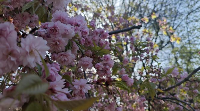 vreme prognoza 1 mai