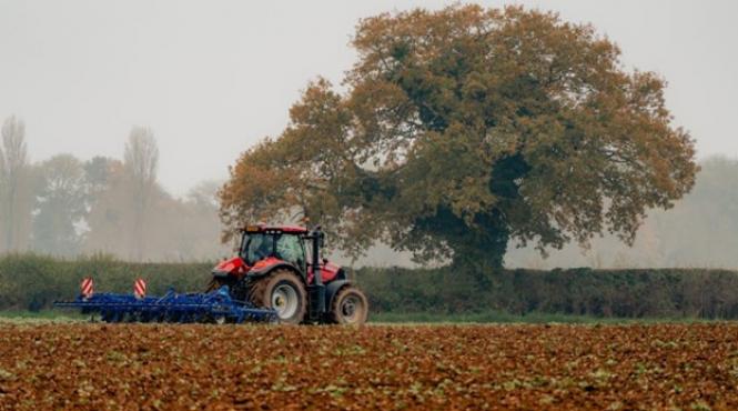 investitii dezastruoase cum au fost cheltuiti 4 8 milioane lei pod blocat agricultorii arad