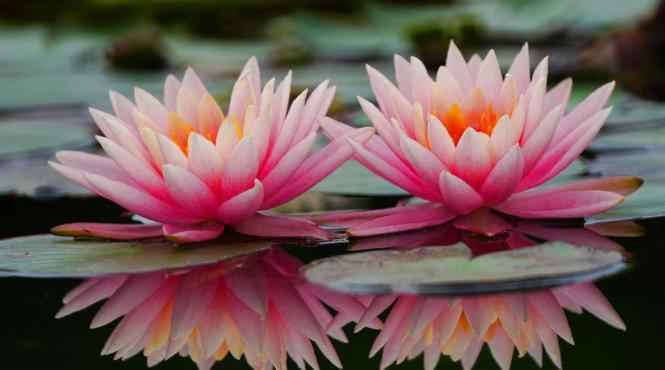 luni nastere incredere in sine apreciere personala