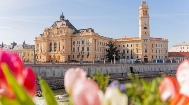 lectia oradea romania pomul ineficientei trebuie scuturat violent