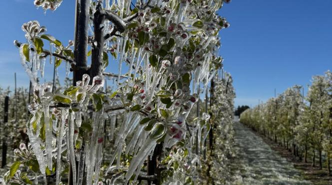 guvern blocheaza fonduri risc agricultura