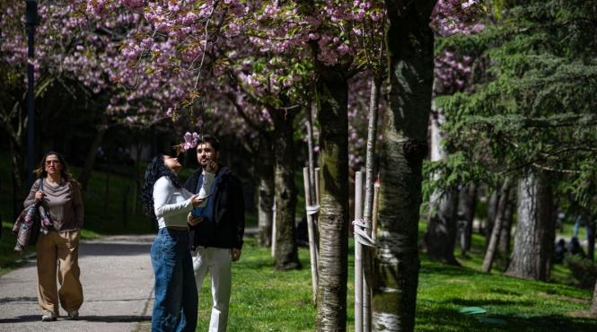 4 luni de nastere care intra in necunoscut saptamana aceasta