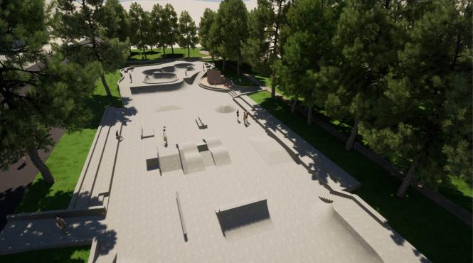 afaceri bani publici primarie timisoara fritz skatepark parc central