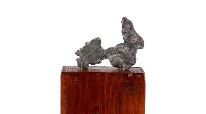 le crocodile constantin brancusi licitatie
