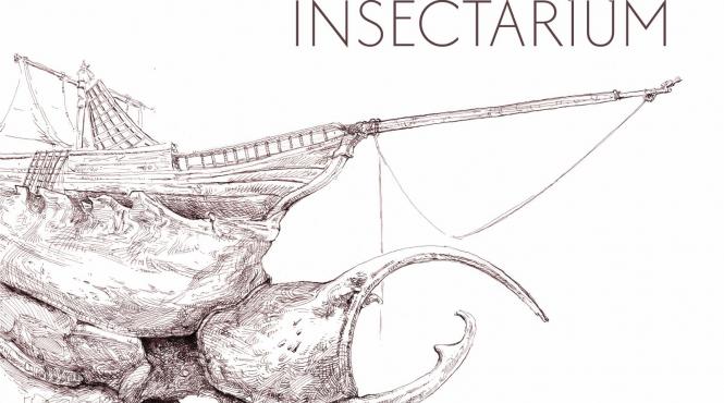 expozitia insectarium un nou eveniment la muzeul national de arta timisoara