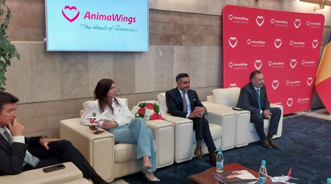 animawings sfideaza criza kerosenului bilete la fel de ieftine ca pana acum flota extinsa si peste 50 de rute in vara acestui an