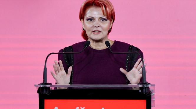 psd lia olguta vasilescu