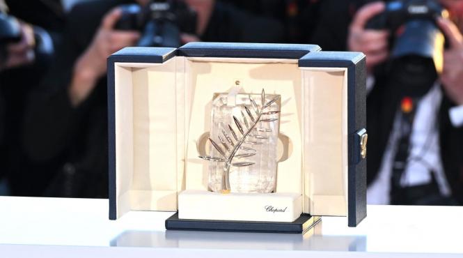 cannes 2026 marii premianti trofee