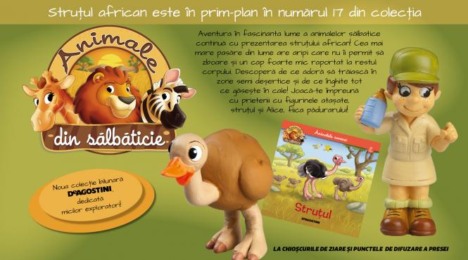 aflati totul despre strutul african numarul 17 din animale din salbaticie la chioscuri din 26 mai
