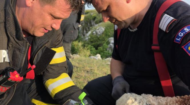 cluj miel blocat cheile turenilor